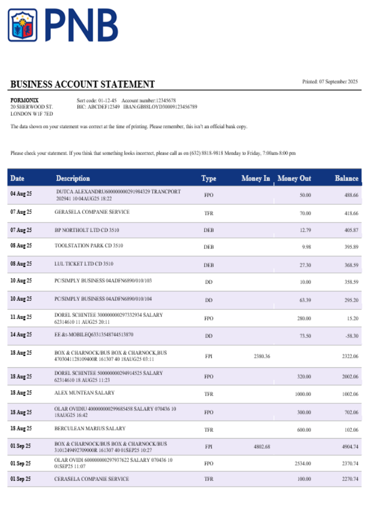 Modèle Word et PDF de relevé de compte professionnel bancaire PNB